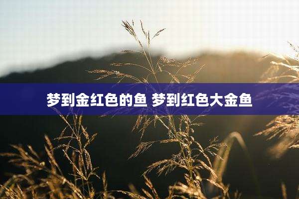 梦到金红色的鱼 梦到红色大金鱼