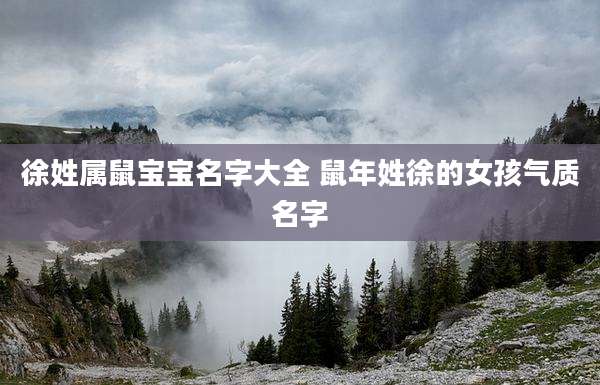 徐姓属鼠宝宝名字大全 鼠年姓徐的女孩气质名字