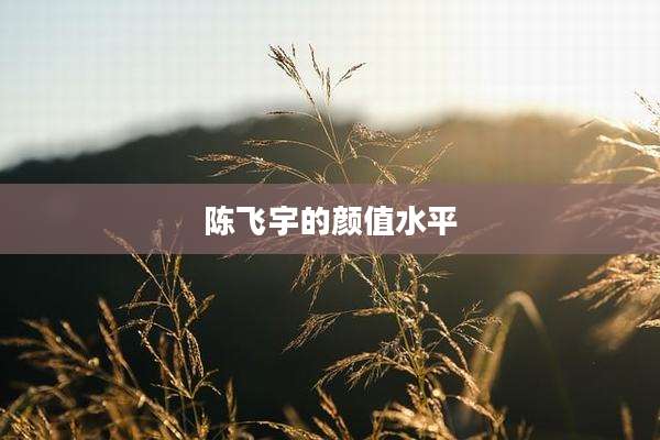 陈飞宇的颜值水平