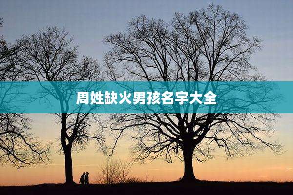 周姓缺火男孩名字大全