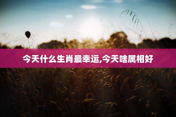 今天什么生肖最幸运,今天啥属相好