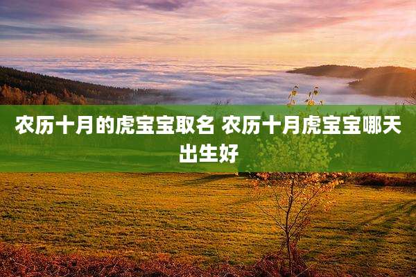 农历十月的虎宝宝取名 农历十月虎宝宝哪天出生好