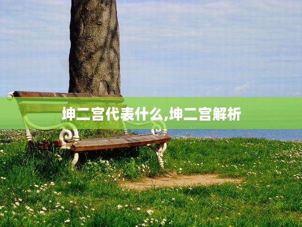 坤二宫代表什么,坤二宫解析