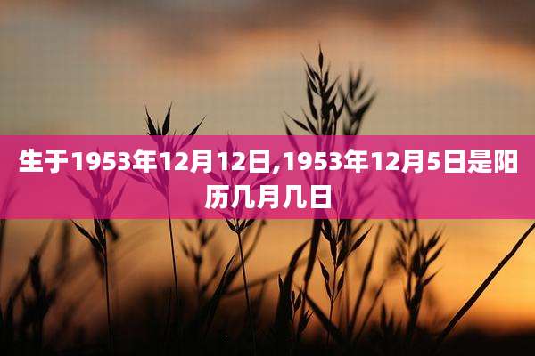 生于1953年12月12日,1953年12月5日是阳历几月几日