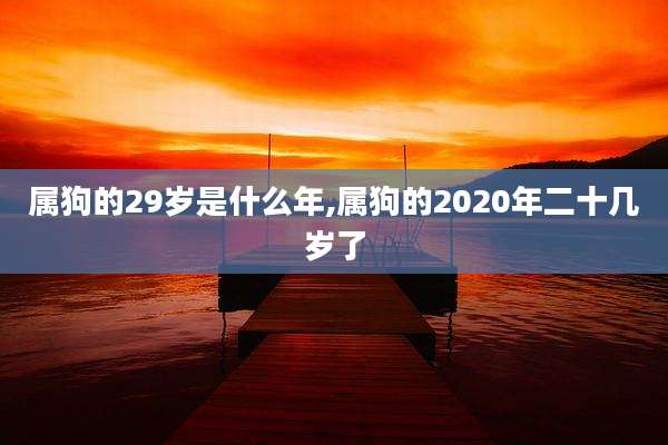 属狗的29岁是什么年,属狗的2020年二十几岁了