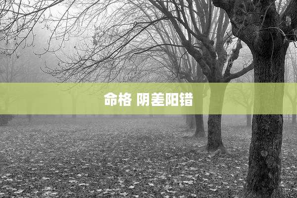 命格 阴差阳错