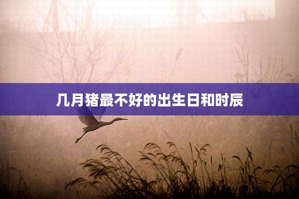 几月猪最不好的出生日和时辰