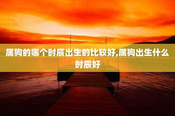 属狗的哪个时辰出生的比较好,属狗出生什么时辰好