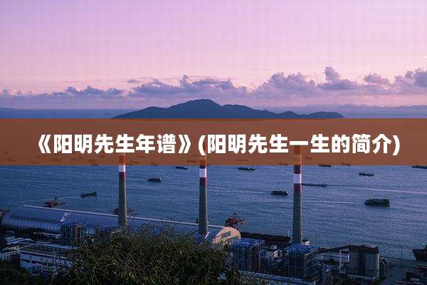 《阳明先生年谱》(阳明先生一生的简介)