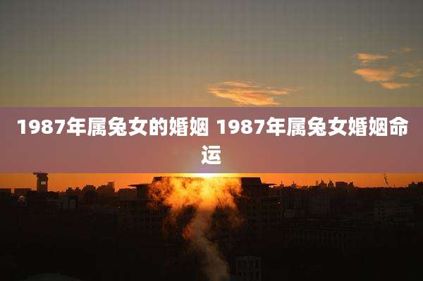 1987年属兔女的婚姻 1987年属兔女婚姻命运
