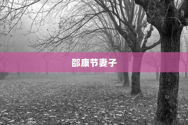 邵康节妻子
