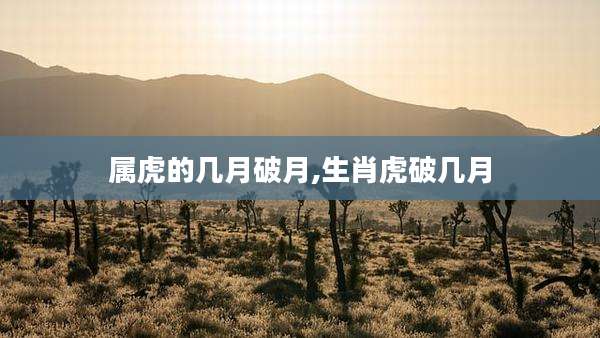 属虎的几月破月,生肖虎破几月