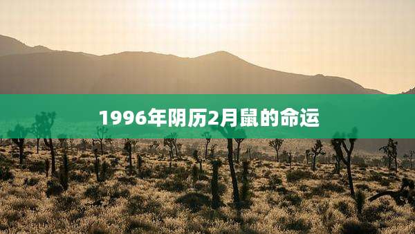 1996年阴历2月鼠的命运