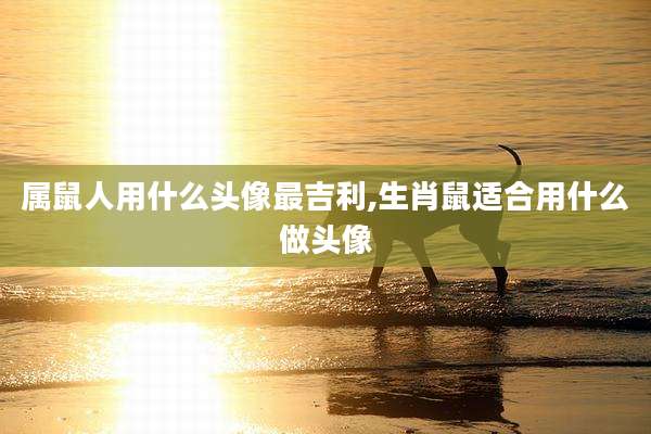 属鼠人用什么头像最吉利,生肖鼠适合用什么做头像