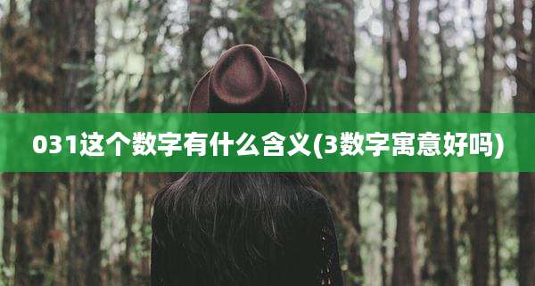 031这个数字有什么含义(3数字寓意好吗)