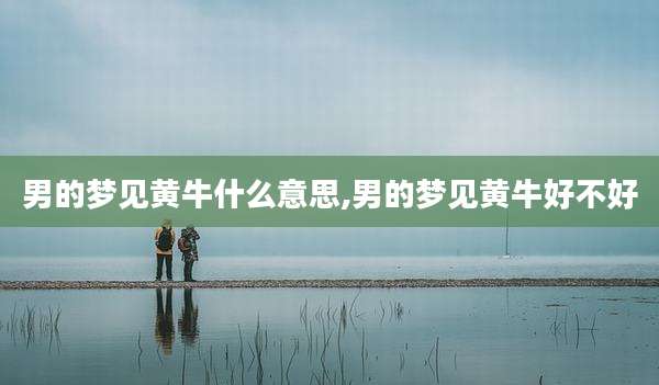 男的梦见黄牛什么意思,男的梦见黄牛好不好