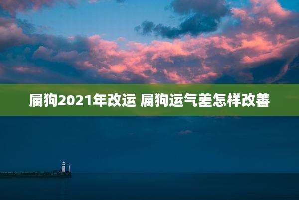 属狗2021年改运 属狗运气差怎样改善