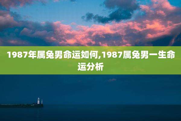 1987年属兔男命运如何,1987属兔男一生命运分析
