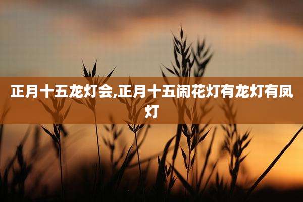 正月十五龙灯会,正月十五闹花灯有龙灯有凤灯