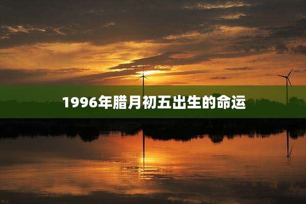 1996年腊月初五出生的命运