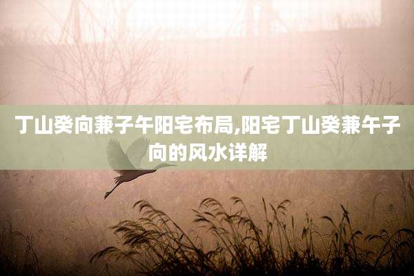 丁山癸向兼子午阳宅布局,阳宅丁山癸兼午子向的风水详解