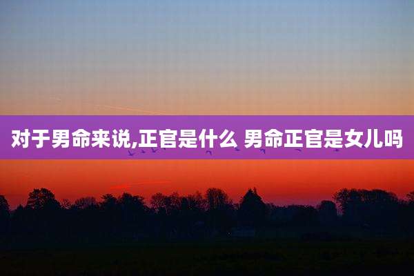 对于男命来说,正官是什么 男命正官是女儿吗