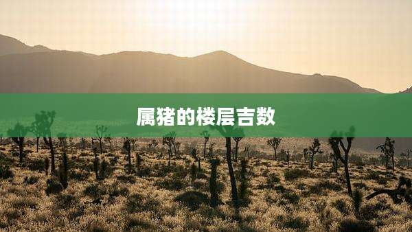 属猪的楼层吉数