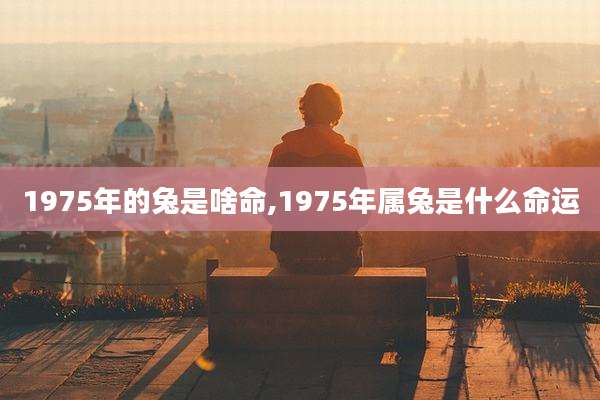 1975年的兔是啥命,1975年属兔是什么命运