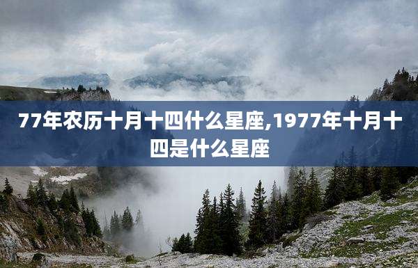 77年农历十月十四什么星座,1977年十月十四是什么星座