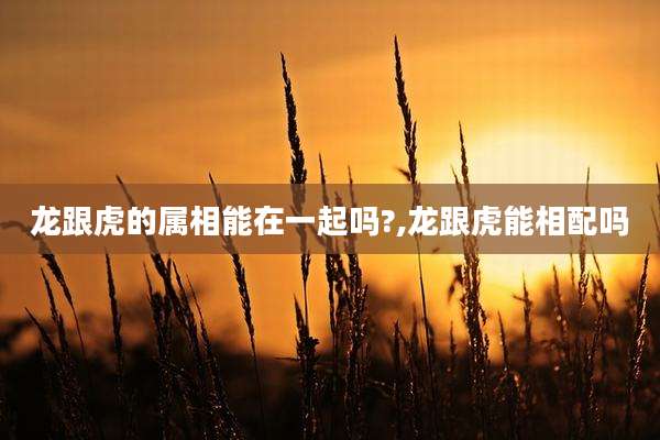 龙跟虎的属相能在一起吗?,龙跟虎能相配吗
