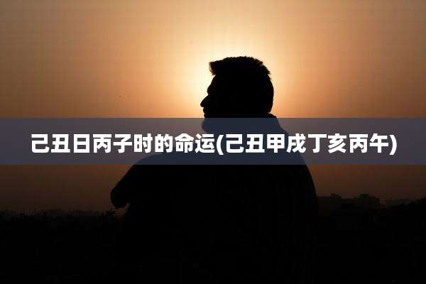 己丑日丙子时的命运(己丑甲戌丁亥丙午)
