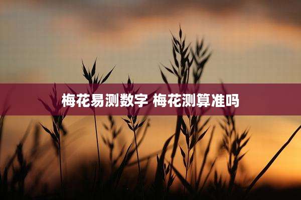 梅花易测数字 梅花测算准吗