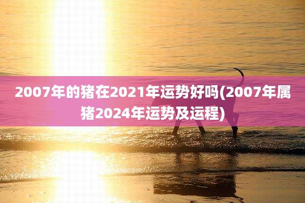 2007年的猪在2021年运势好吗(2007年属猪2024年运势及运程)