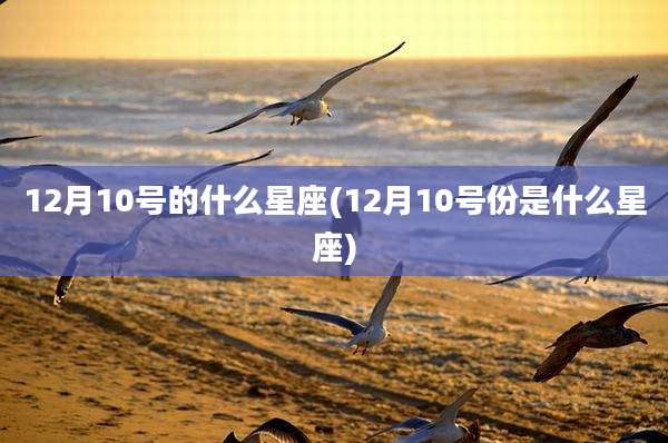 12月10号的什么星座(12月10号份是什么星座)