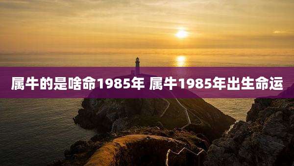 属牛的是啥命1985年 属牛1985年出生命运