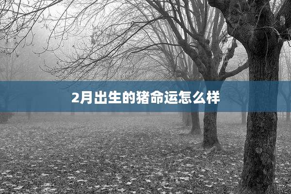 2月出生的猪命运怎么样