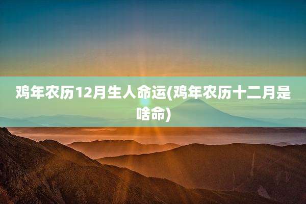 鸡年农历12月生人命运(鸡年农历十二月是啥命)