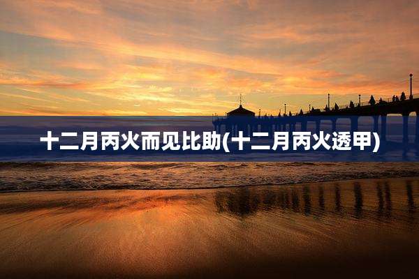 十二月丙火而见比助(十二月丙火透甲)