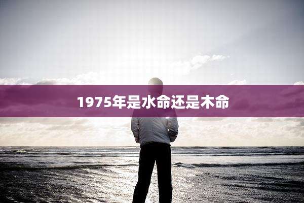 1975年是水命还是木命