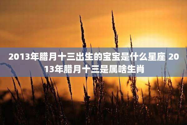 2013年腊月十三出生的宝宝是什么星座 2013年腊月十三是属啥生肖