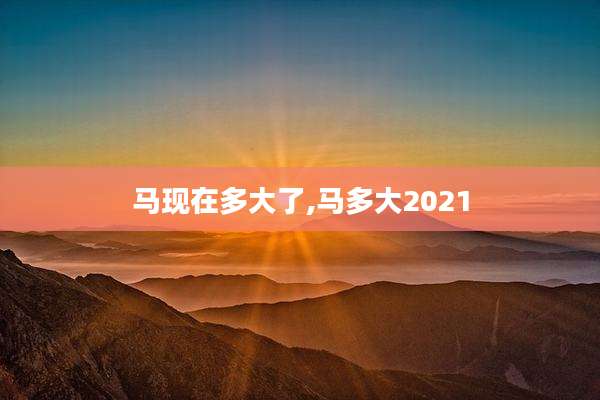 马现在多大了,马多大2021