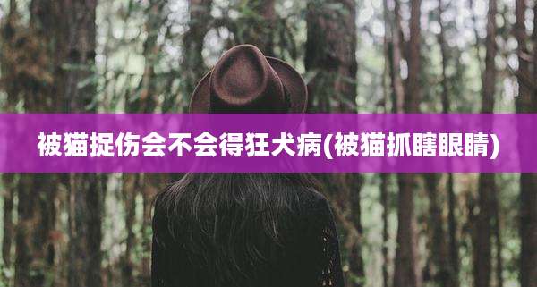 被猫捉伤会不会得狂犬病(被猫抓瞎眼睛)