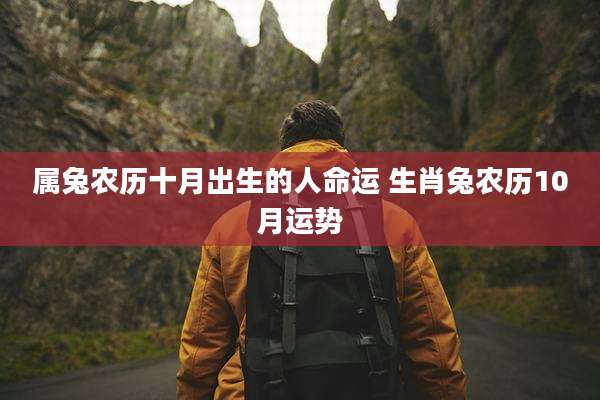 属兔农历十月出生的人命运 生肖兔农历10月运势