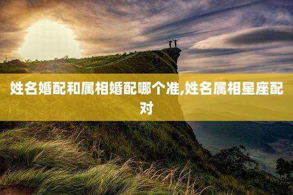 姓名婚配和属相婚配哪个准,姓名属相星座配对