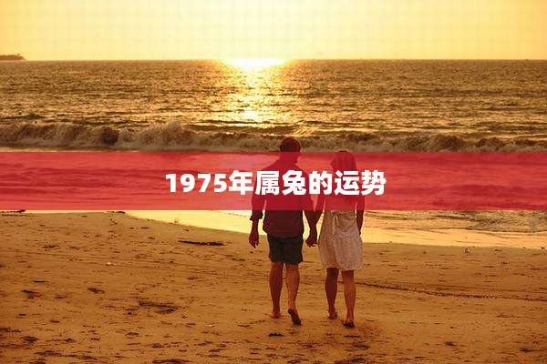 1975年属兔的运势