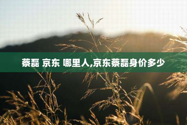 蔡磊 京东 哪里人,京东蔡磊身价多少
