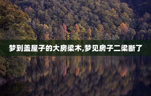 梦到盖屋子的大房梁木,梦见房子二梁断了
