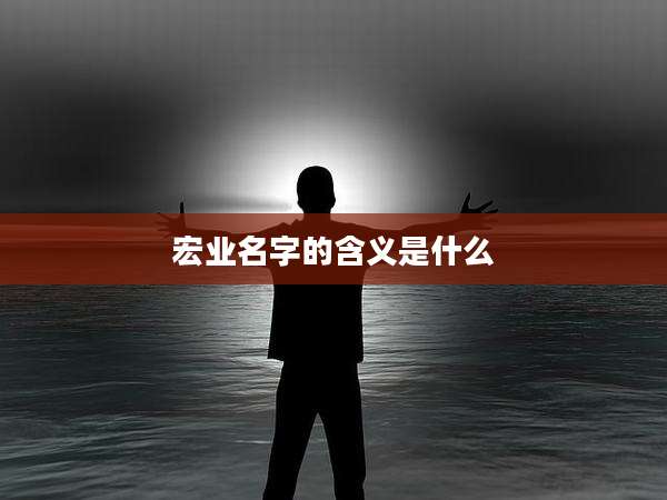 宏业名字的含义是什么