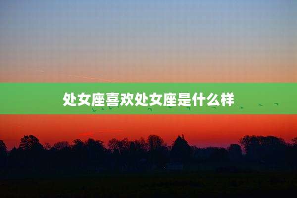 处女座喜欢处女座是什么样