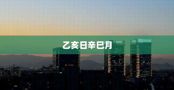 乙亥日辛巳月
